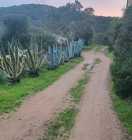 Bel Dans Hameau Calme Διαμέρισμα Bonifacio (Corsica)