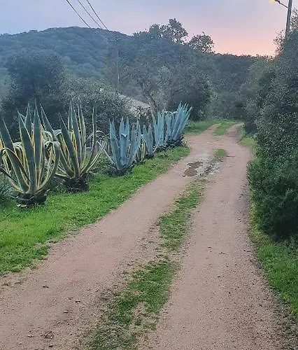 Bel Dans Hameau Calme Appartement Bonifacio (Corsica)